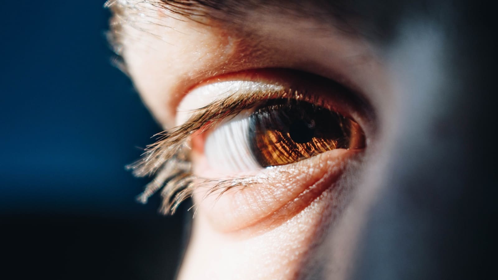 Macular Degeneration and Eye Nutrition: What the Research Says
