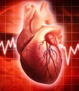 Cardiovascular health in women